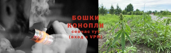 дмт Арсеньев