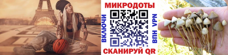 как найти закладки  Прохладный  Псилоцибиновые грибы MAGIC MUSHROOMS 